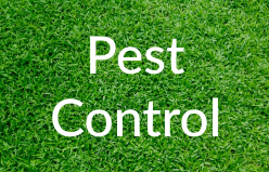Markham-Grange-Garden-Cente-Garden-Pest-Control