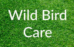 Markham-Grange-Garden-Cente-Garden-Wild-Bird-Care