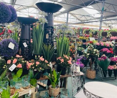 Markham Grange Garden Centre
