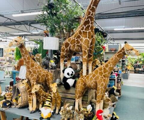 Markham Grange Garden Centre