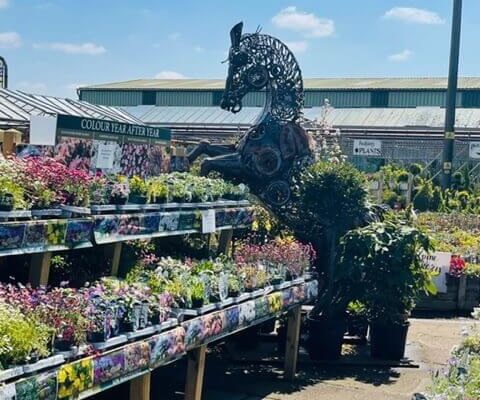 Markham Grange Garden Centre
