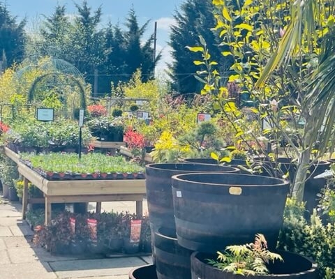 Markham Grange Garden Centre