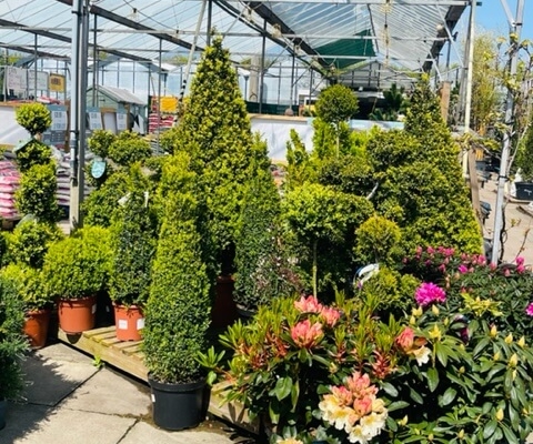 Markham Grange Garden Centre