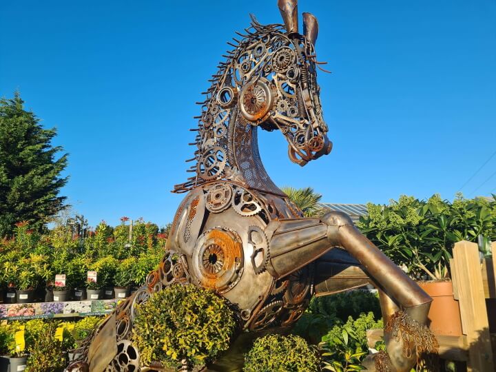 Markham Grange Garden Centre - homepage photo -4