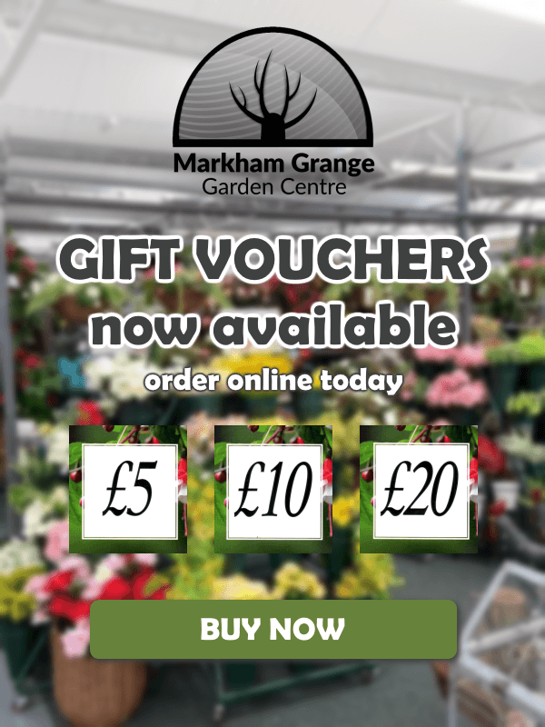gift-voucher-popup-markham-grange-garden-centre